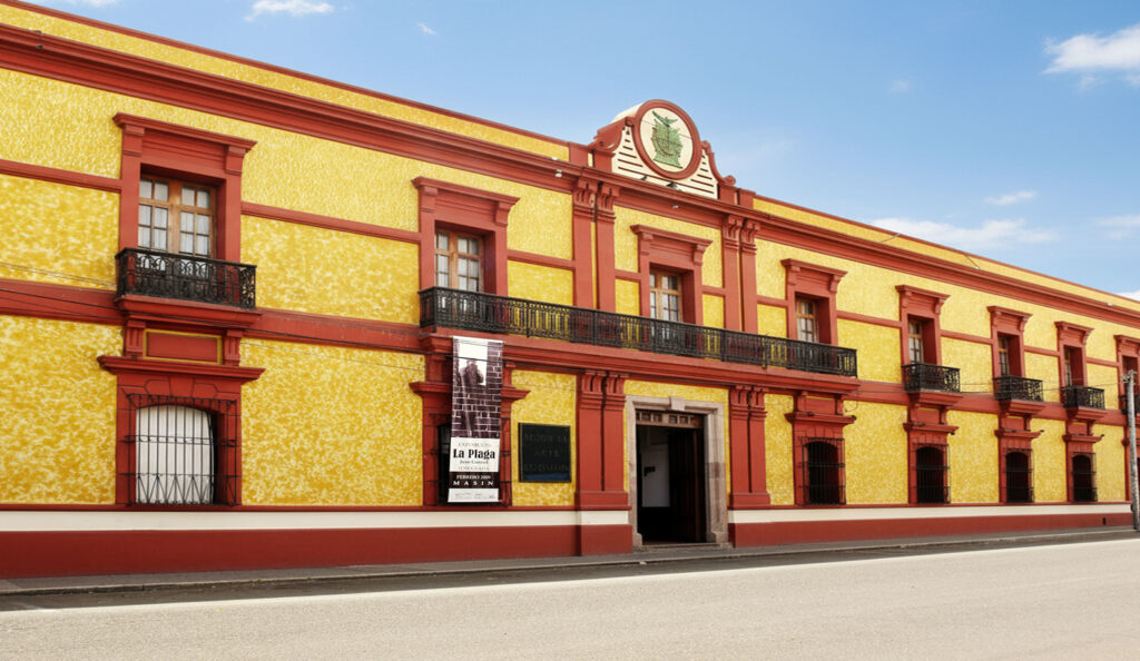 Imagen 9