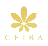 Plaza Ceiba