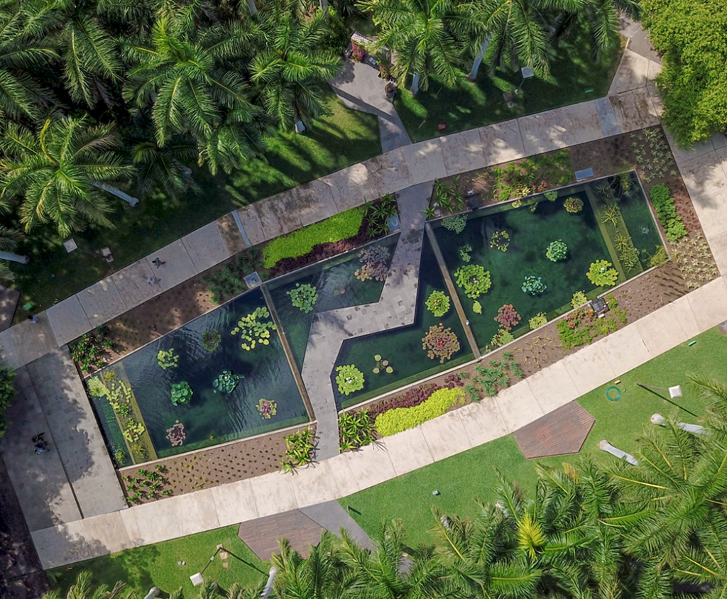 Jardín Botánico