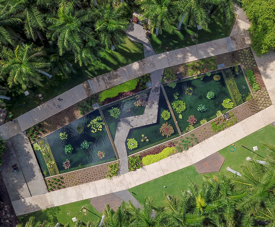 Botanical Garden
