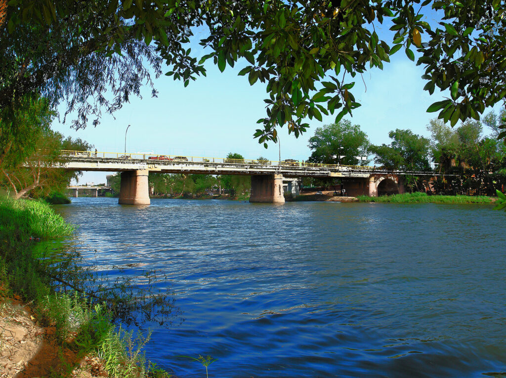 Tours y actividades