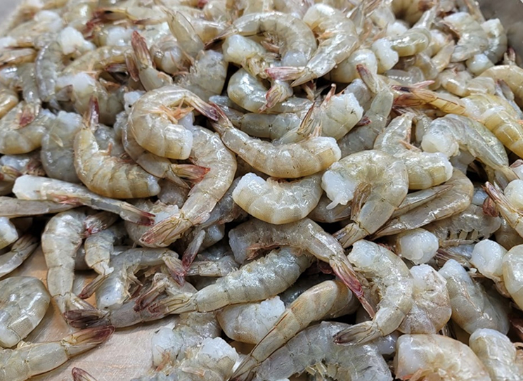 Feria del camarón