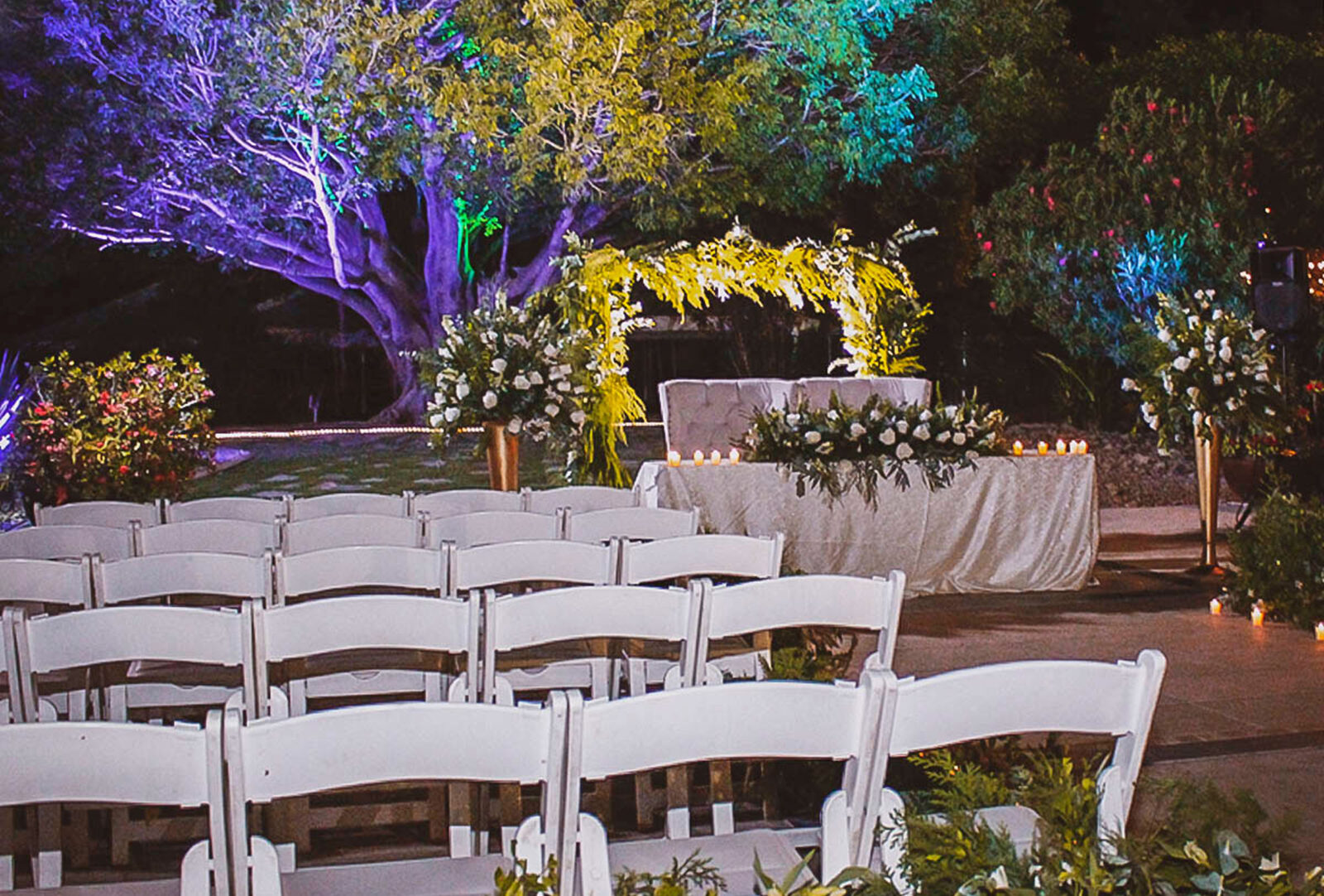 Bodas