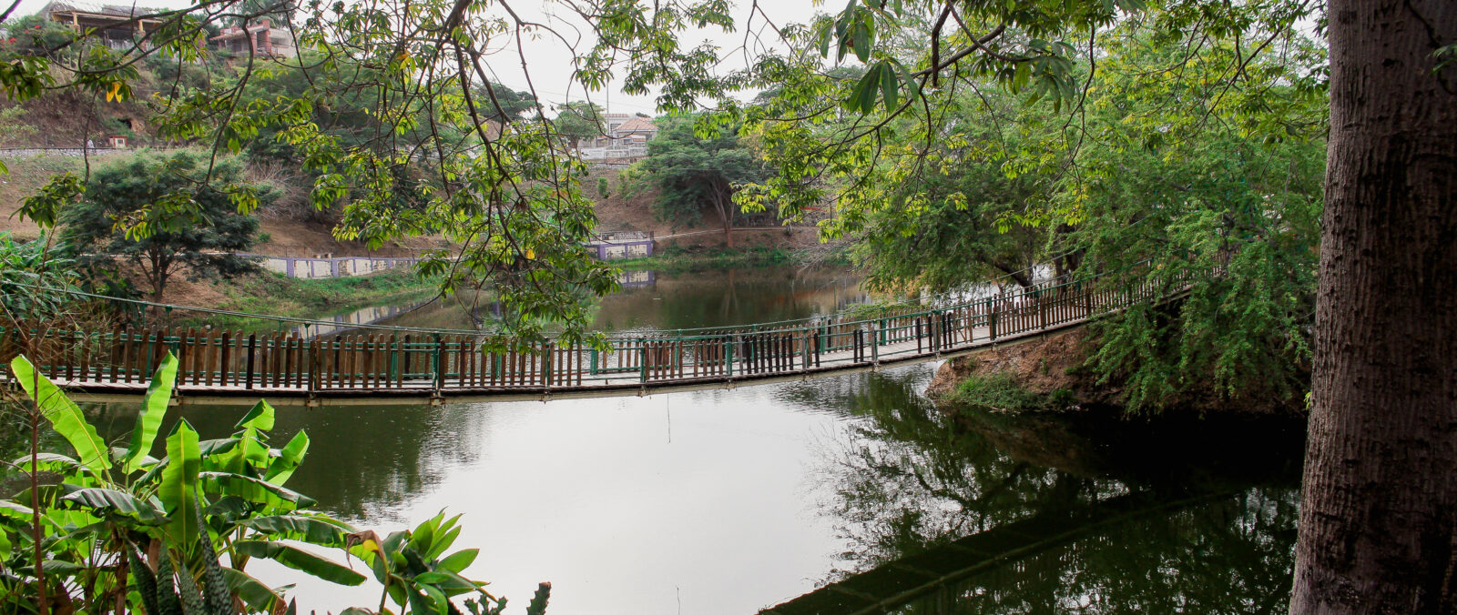 El Rosario