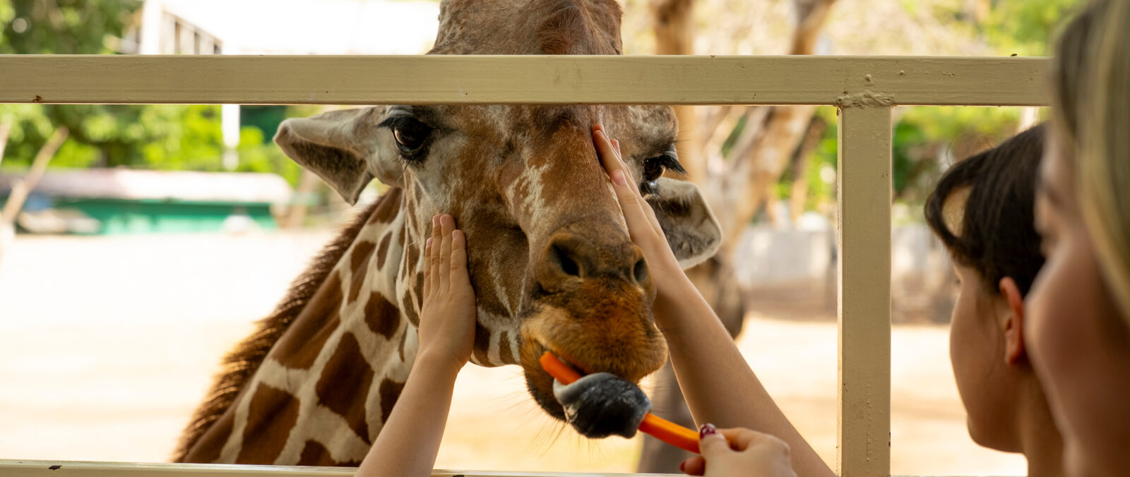Zoológico de Culiacán