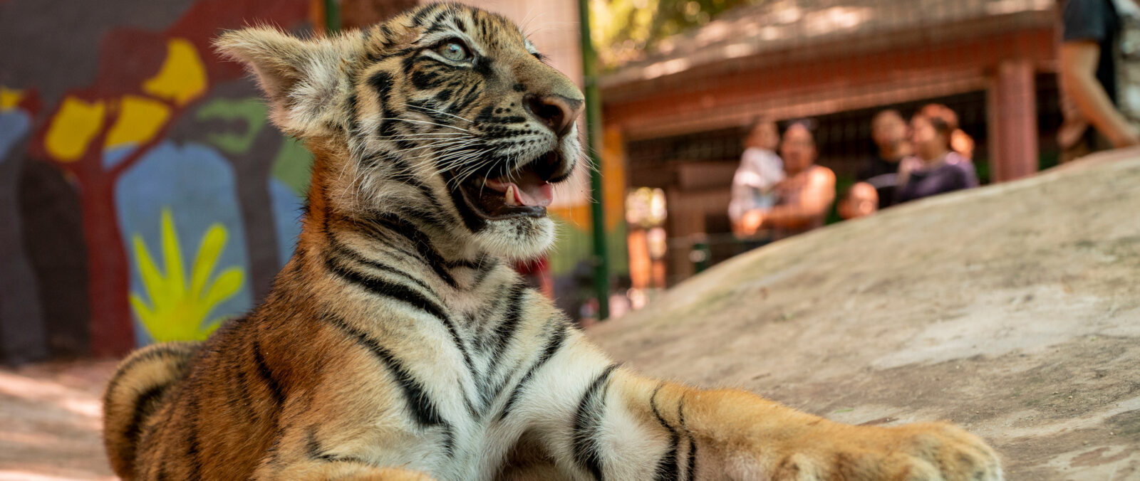 Zoológico de Culiacán