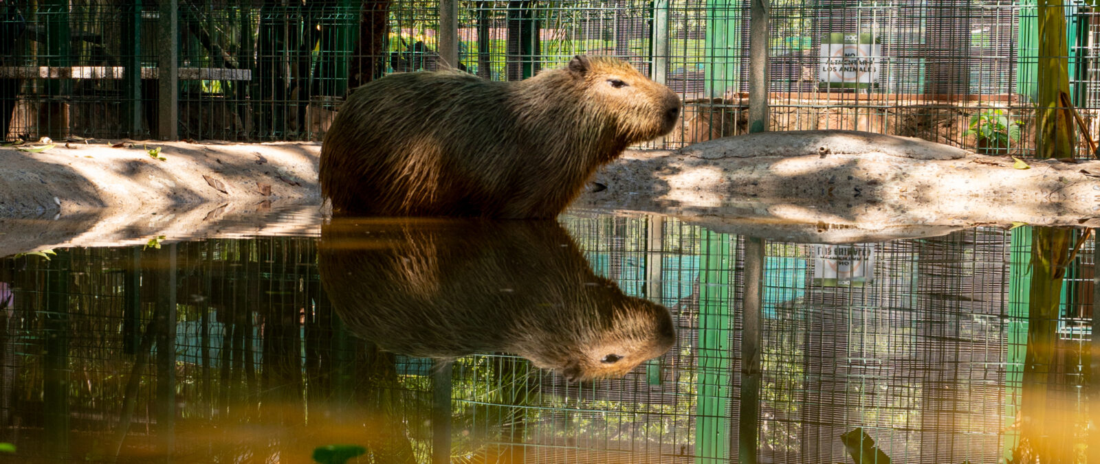 Zoológico de Culiacán